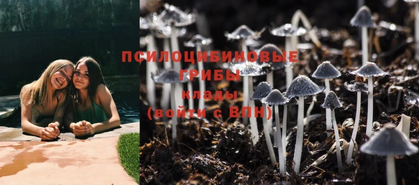 мяу мяу мука Вязьма