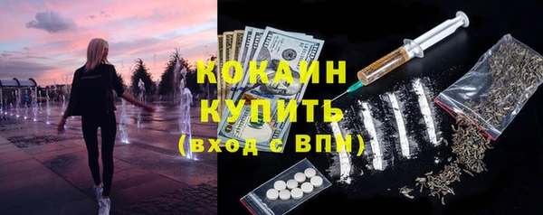дмт Вяземский