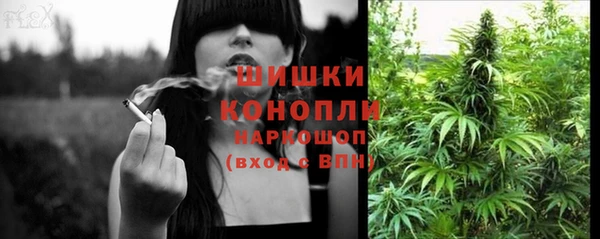 дмт Вяземский